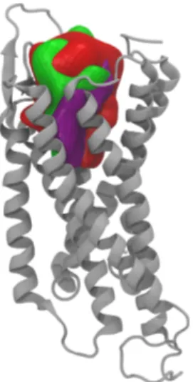 Figure 14. Binding cavity surfaces (in red) compared to the ones obtained in the PDB 5ZBH (in green) and 5ZBQ (in purple) within the GPCR 7-helices bundle (in gray).
