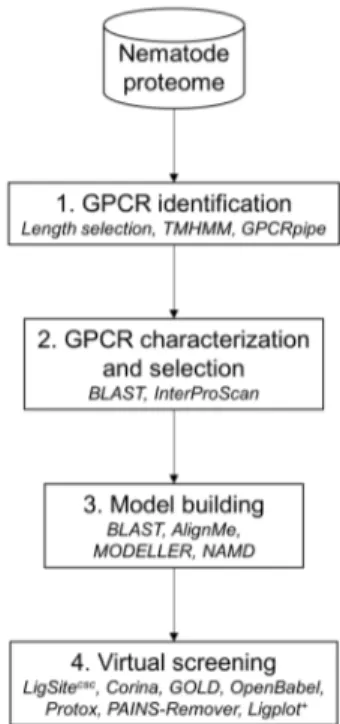 Figure 15. Data analysis framework for prediction of GPCRs. Used programs are in italics.
