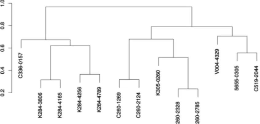 Figure 8. Dendrogram showing the clustering of the 13 retained molecules. The dendrogram was built with Ward’s method using Tanimoto scores.