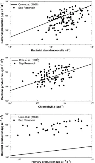 Fig. 5 Relationship between bacterial production and bacterial abundance, chlorophyll a and primary production in the Sep Reservoir