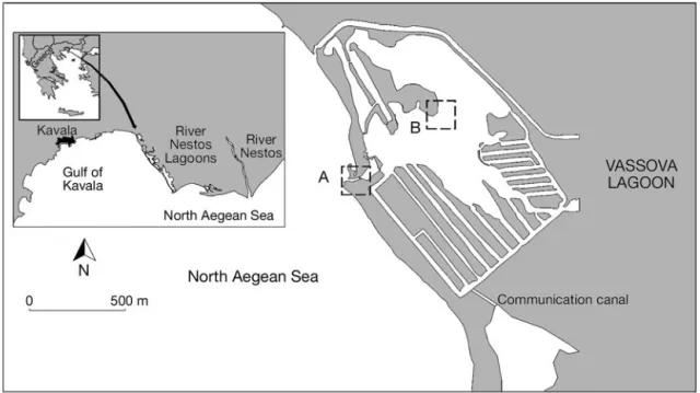 Fig. 1. Vassova Lagoon and the River Nestos Delta lagoons (Greece), reproduced from Tsihrintzis et al