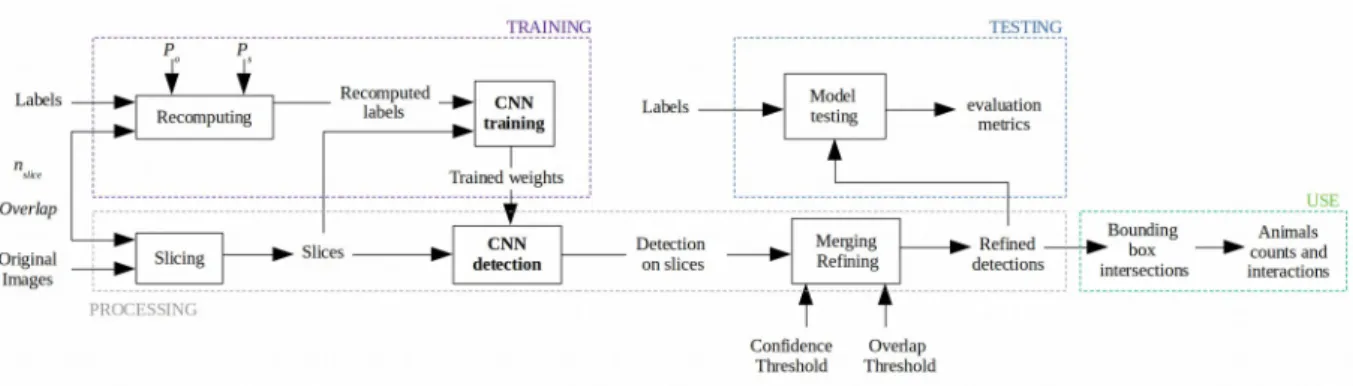 Figure 1. Overview of the proposed method.