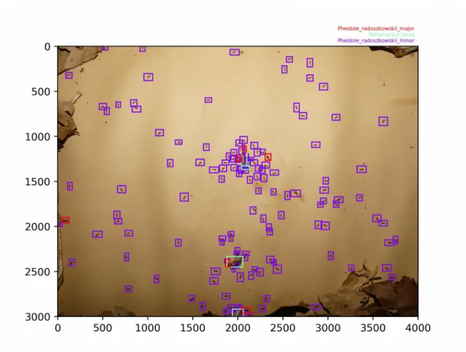 Figure 2. Output of the pipeline for an image of the test dataset. Values on x  and y axes are pixel coordinates