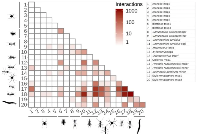 Figure 3. Interaction matrix showing interactions on our example dataset.