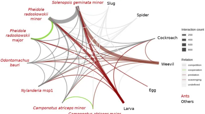 Figure 4.  Trophic and non-trophic interaction network between species of the  observed community.