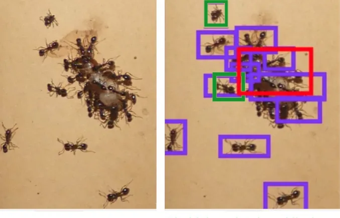 Figure 5. Example of complex situation leading to misclassifications, FP and FN. 
