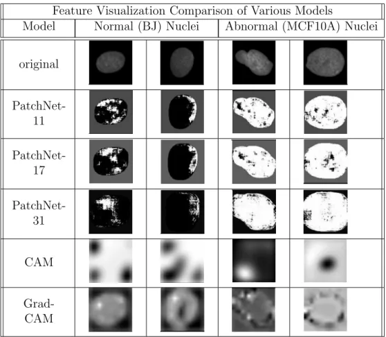 Table 3.2: A comparison of various models’ feature visualizations on the task of classifying between two different cell lines
