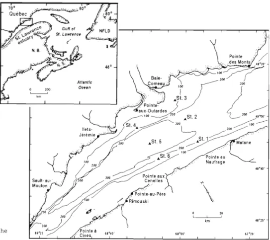 Fig.  1  Location  of  stations  in  the  lower St. Lawrence Estuary 