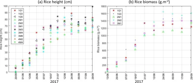 Figure 4. Temporal variation of the rice height and biomass versus to acquisition dates of Sentinel-1 data.