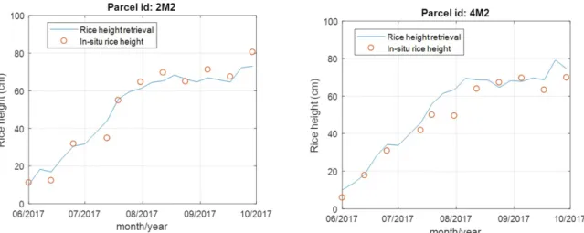 Figure 7. Rice height retrieval and in-situ measurements at two reference plots 2M2 and 4M2.