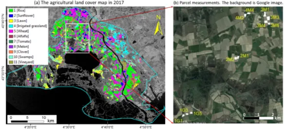 Figure 2. Camargue study area. (a) The agricultural land cover map in 2017 [30]. The green color indicates the rice extent of the Camargue region