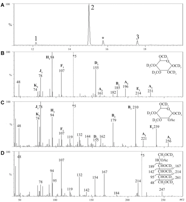 Fig. 6. Linkage analysis of E. cuniculi O-linked glycans by GC – MS. (A) TIC chromatogram of partially deuteromethylated and acetylated methyl-glycosides;