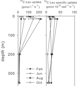 FIG. 4. Profiles of total productivity ([ 14 C]Leu uptake) and cell- cell-specific productivity ([ 14 C]Leu-specific uptake) of prokaryotes