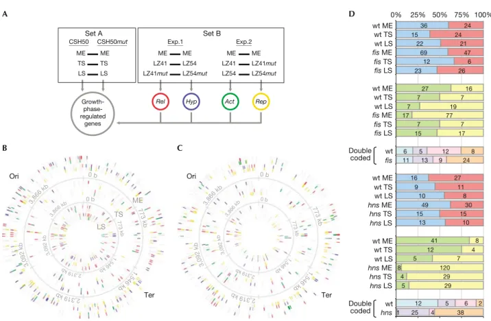 Fig 1 | Strategy of mapping supercoiling-associated genes. (A) Set A compares the transcript profiles of the CSH50 wild-type and mutant cells during growth
