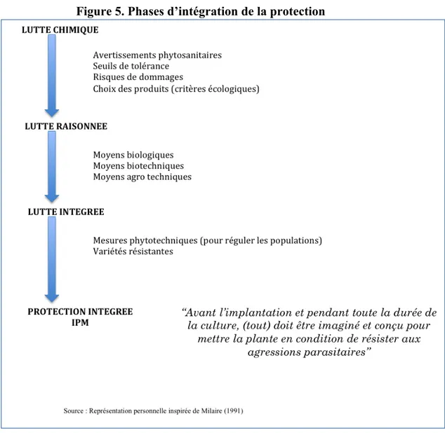 Figure 5. Phases d’intégration de la protection 
