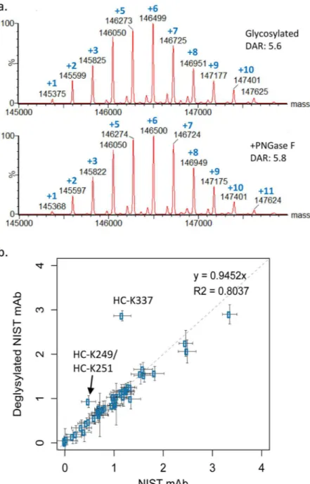 Figure 6.  he Fc glycan afects the susceptibility of 2 heavy chain lysines to conjugation by NHS esters