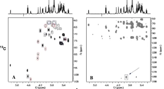 Fig. 3 Two-dimensional  1 H− 13 C heterocorrelated HSQC (a) and HMBC (b) spectra of the extracellular medium of F