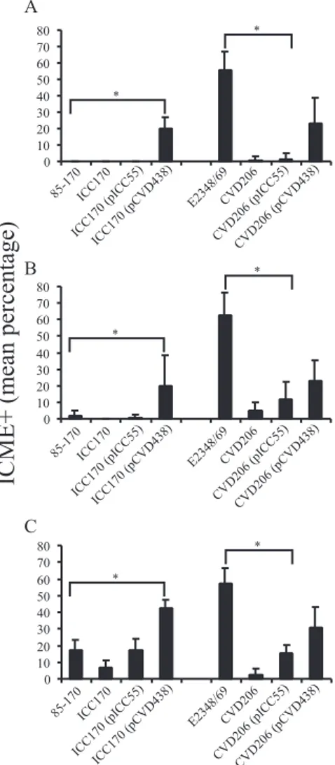 FIG. 4. Intimin subtype influences the bacterial adherence and in- in-testinal tropism of STEC and EPEC in porcine inin-testinal IVOC  seg-ments