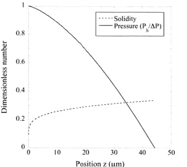 Figure  3-4.  Pressure  (solid  line)  and  solidity  (dotted  line)  profile  along  the  z-axis  of  an electrospun  PSU  membrane  annealed  at  210  'C,  having  an  initial  solidity  of  0.09  and  initial thickness of 136  rim