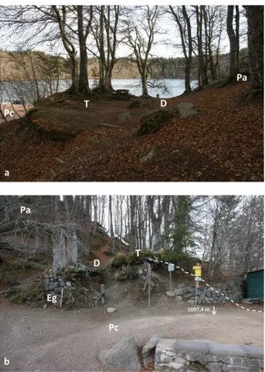 Fig. 7. Western embankment of the entrance of the lake site in 2019, looking towards the lake (a) and outwards (b)