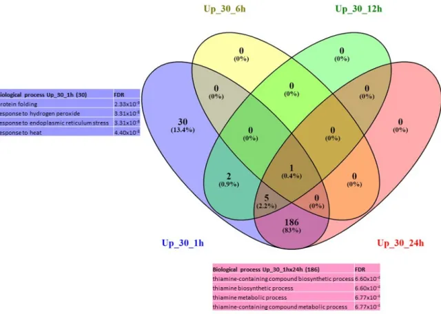 Figure 3. Venn diagram of expression data analysis at 30 °C of the up-regulated genes at 1 h, 6 h, 12  h and 24 h; and associated GO terms