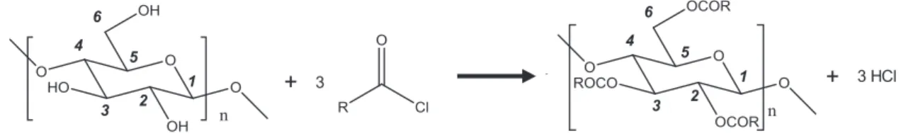 Fig. 1. Esterification of cellulose with an acyl chloride.