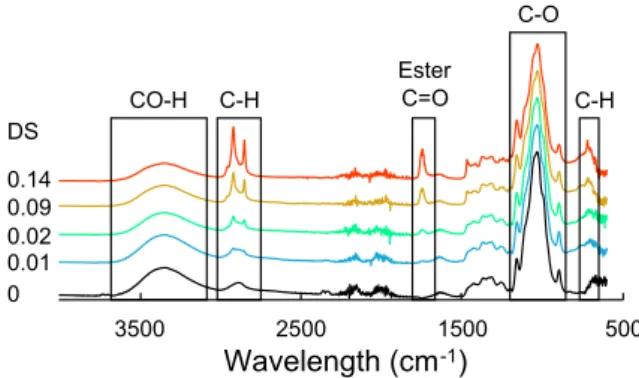 Fig. 2. Solid 13 C NMR spectra of virgin cellulose (DS = 0) and modified cel- cel-lulose (DS = 0.01–0.14)