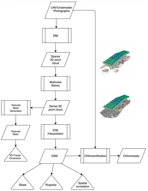 Figure 6. Flow chart of the analytical steps to generate the products (3D point cloud, textured mesh, DSM and orthomosaic) used as inputs to the calculation of the habitat complexity metrics (slope, rugosity, spatial correlation, 3D fractal dimension)