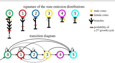 Fig. 6 6-state HMT model: transition diagram and symbolic representation of the state sig- sig-natures (conditional mean values of the variables given the states, depicted by typical shoots).