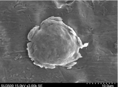 Fig. 3. SEM image showing a copper particle cold sprayed onto the steel substrate at 425°C
