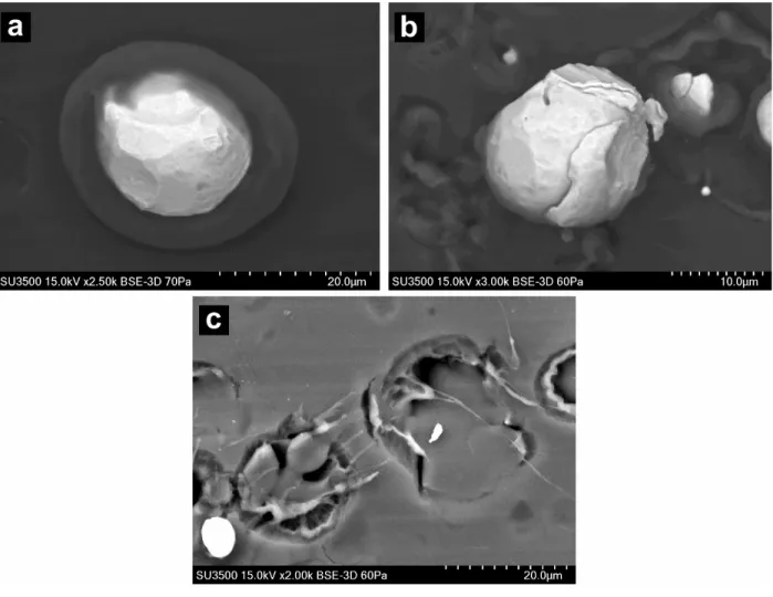 Fig. 5. SEM images showing copper particles cold sprayed onto PEEK at 425°C (a) and 350°C  (b), and the craters at the PEEK surface at 350°C (c)