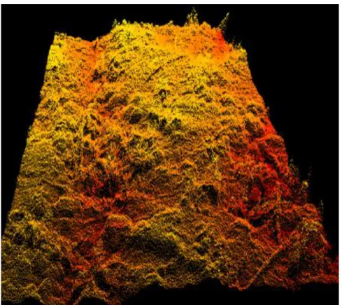 Figure  II.3.  Examples  of  roughness  profile:  3D  profile  from  a  laser  scanner  (Baghdadi  and  Zribi, 2016)