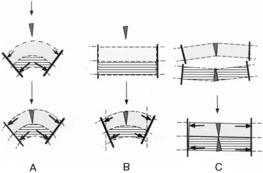 FIGURE 10 Schematic models representing the consequence of the insertion of MOPC in various types of unilamellar vesicles in the absence of glycerol.