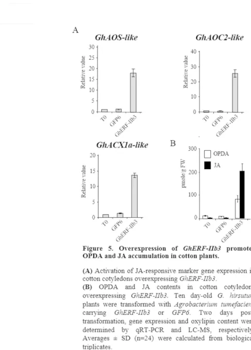 Figure 5. Overexpression of GhERF-IIb3 promotes OPDA and JA accumulation in cotton plants