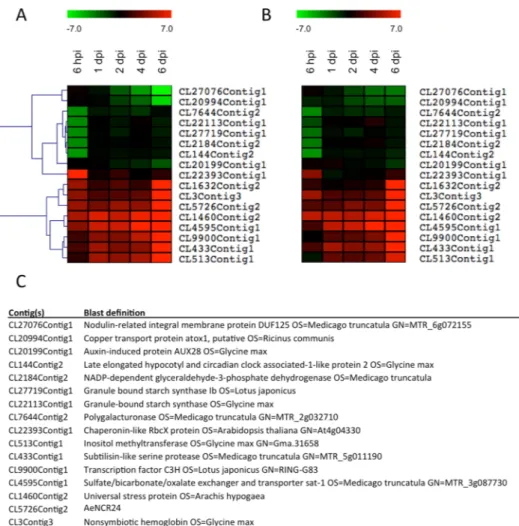 Figure 4.  Heat maps of 17 differentially expressed genes with contrasted behavior during the infection process  obtained from RNAseq data (A) and from real time quantitative RT-PCR (qPCR) (B)