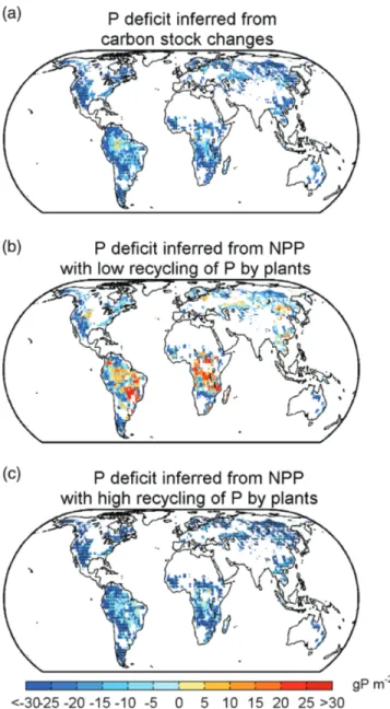 Figure 6. Spatial patterns of mean P deﬁcit (g P m −2 ) across the three CMIP5 models by 2100 under RCP8.5 and the medium soil P availability (labile inorganic P) scenario