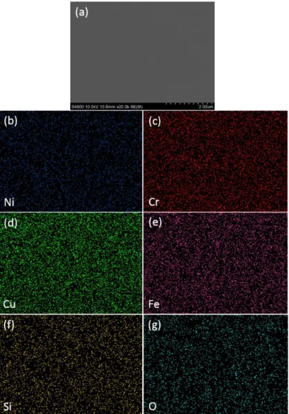 Fig. 2. Microstructure and elemental distribution of the as-deposited (NCCFS)O film with the scale bar of 2 m