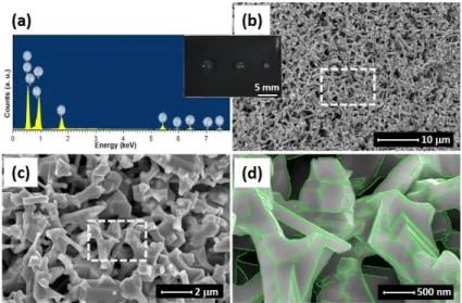 Fig. 4. Elemental determination and microstructure of the (NCCFS)O film annealed at T = 1273 K in vacuum