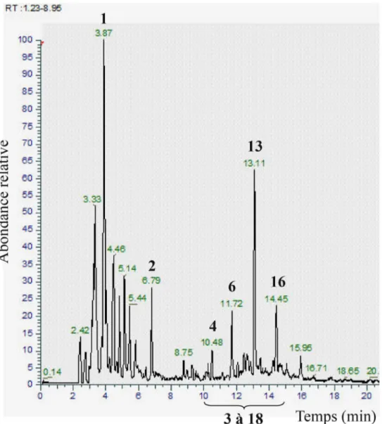 Fig. 2 Chromatogramme LC-MS de l ’ extrait hydroéthanolique de Cupressus sempervirens L
