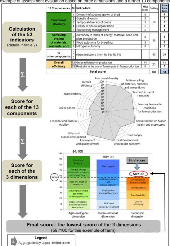Figure 4 : example of assessment evaluation based on three dimensions and a further 13 components for a farm  