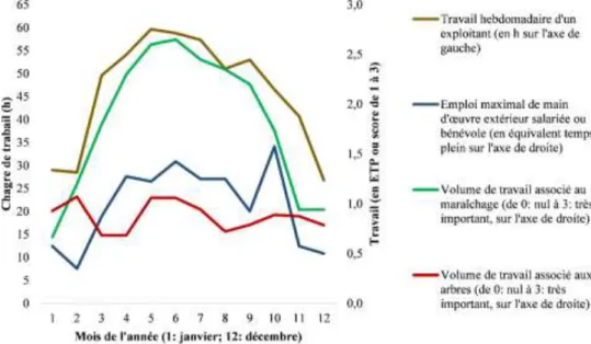 Figure 5 : Travail au cours de l’année (données issues de l'enquête menée auprès de 19 agriculteurs).