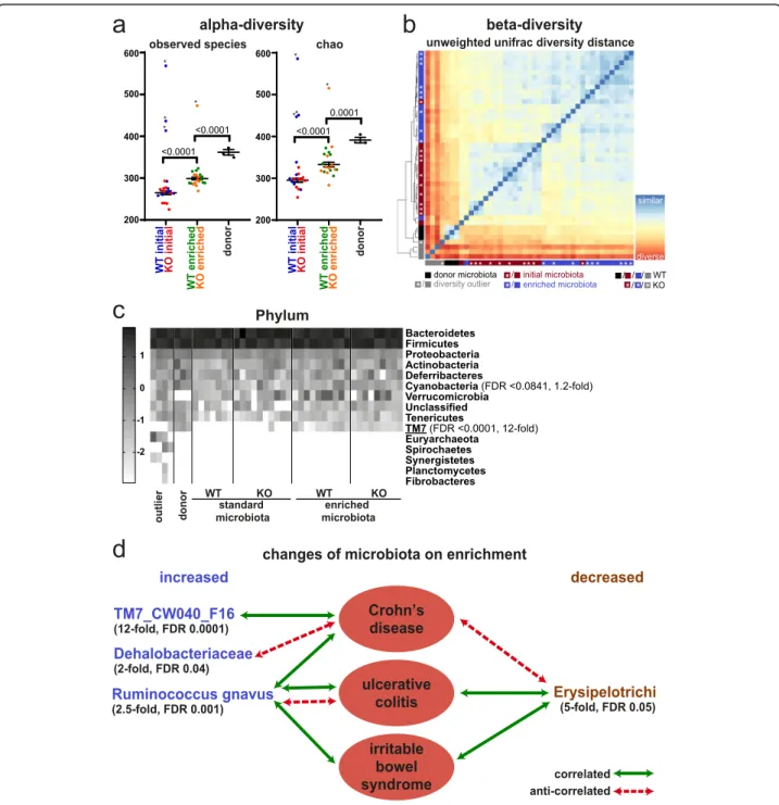 Fig. 7 Microbiome and Smarcad1-dependent colitis susceptibility. a Alpha-diversity plots before and after microbiome enrichment, as well as donor microbiota, shown as observed species number (left) and chao-quantitation (right)