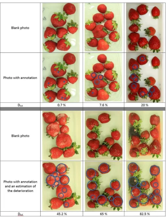 Fig. 1. Examples of deterioration annotation using small circles correspond to 0.1% of deterioration, medium circles to 2.5% of deterioration and big circles to 10% of deterioration.