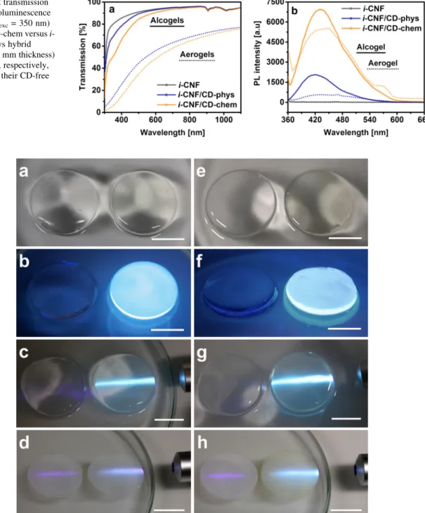 Fig. 4 CNF alcogels (a–c, e–g) and aerogels (d, h) without CDs (left in each picture) and with coupled CDs (right in each picture); physically coupled (a–c); chemically coupled (e–g); a, e under normal light, b, f under UV lamp 366 nm, c, d, g,