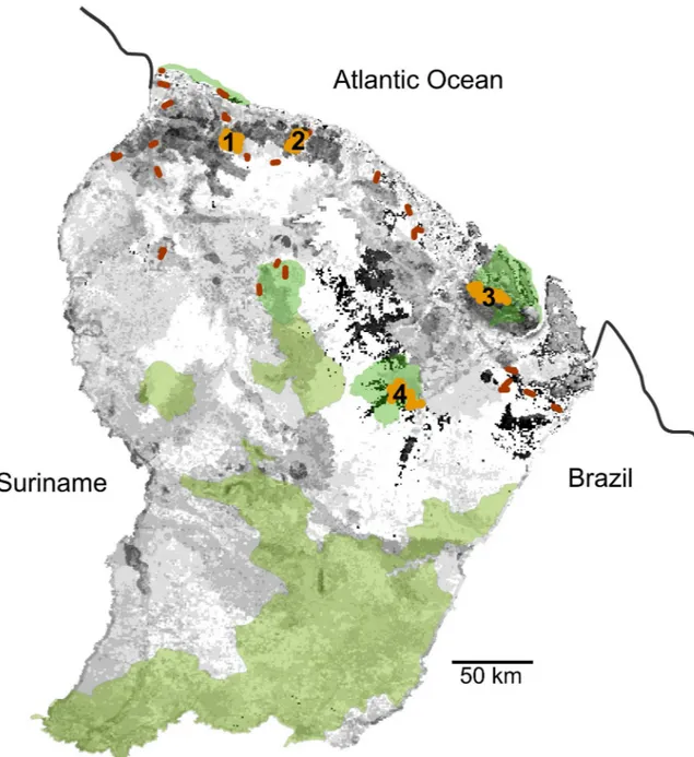 Fig 1. French Guiana study sites, with the protected areas. Protected areas: nature reserves and national parks, in green