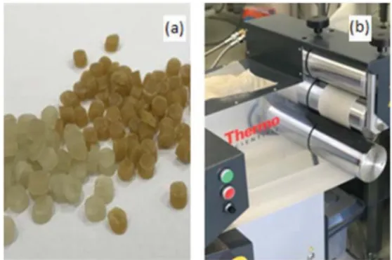 Figure 1: Production of pre-mixture (starch/chitosan)  extruded in homo and masterbatch-base nanostructured  pellets (a), TPS nanostructured films without chitosan (b)