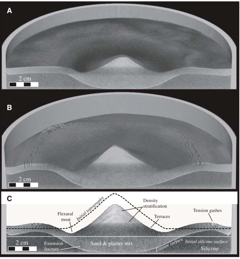 Figure 8. 3D oblique view, with a vertical cross section through the cone center, of the sand cone volumes reconstructed from X-ray scan  after 72 h of deformation into a 1.1 cm thick silicone layer for experiments with cohesionless (A) and low cohesion (B