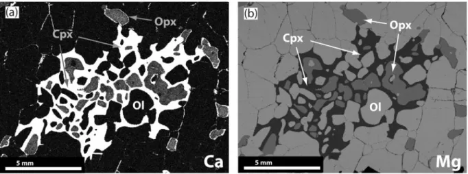 Fig. 5. Distribution maps of Ca (a) and Mg (b) in xenolith U504 showing a pocket of poikilitic cpx that partially replaced adjacent opx and olivine