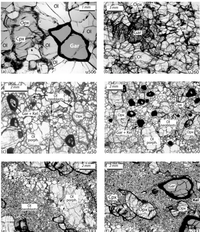 Fig. 6. Photomicrographs of Udachnaya garnet peridotites in transmitted plane-polarized light showing textural relations in three types of garnet peridotite identified in this study: (a, b) granular, (c, d) transitional (porphyroclastic) and (e, f) sheared