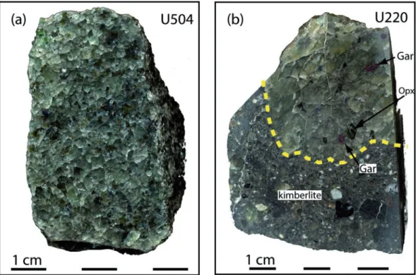 Fig. 2. Photographs of sawn hand specimens of fresh granular peridotite xenoliths from Udachnaya from this study
